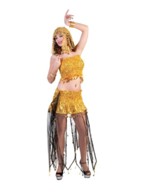 Belly Dancer top skirt neckpiece one size