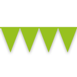 vlaggenlijn 10 meter licht groen