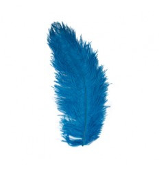 Struisveer plus minus 34-38 cm Blauw