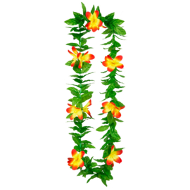 Hawaïkrans Lulani
