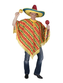 Fiesta poncho one size