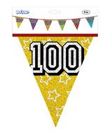 vlaggenlijn 100 jaar ca 8 meter