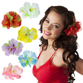 Haaraccessoire Hibiscus assorti Haaraccessoire Hibiscus 6 kleuren ass. Met deze leuke haarclip tropische bloem kan je gemakkelijk een zomerse touch geven aan elke outfit. Ideaal dus om een hula kostuum voor carnaval of een outfit voor een zomerse Hawaii t