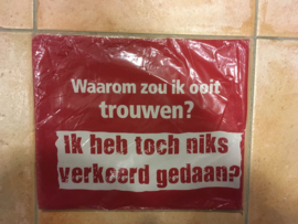 T shirt one Size Waarom zou ik ooit trouwen? Ik heb toch niks verkeerd gedaan?