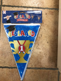 vlaggenlijn blauw geslaagd 6 meter