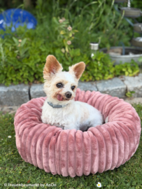 Plush teddy - Groen