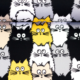 Katten Tim