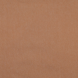 Denim Camel