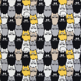 Katten Tim