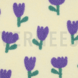 Teddy Tulpen