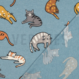 JERSEY MELANGE CATS - SMOKE BLUE