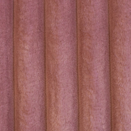 Plush teddy - roze