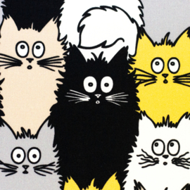 Katten Tim