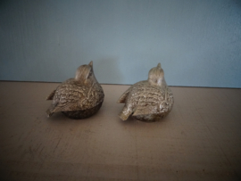 Peper- en zoutstel vogeltjes
