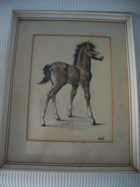 Schilderij pony / paard - VERKOCHT