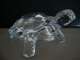 Glazen schildpad - VERKOCHT