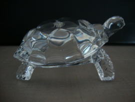 Glazen schildpad - VERKOCHT