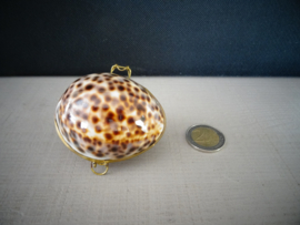 Schelpendoosje -VERKOCHT