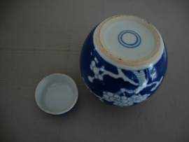 Gemberpotje prunus - blauw wit - VERKOCHT