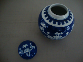 Gemberpotje prunus - blauw wit - VERKOCHT