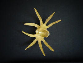 Koperen of messing spin