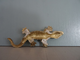 Salamander - koper of messing - VERKOCHT