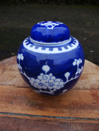 Gemberpotje prunus - blauw wit - VERKOCHT