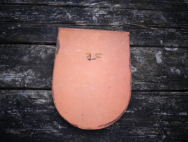 Wapenschild - Jaren 60 - gips of keramiek