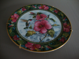 Wandbord Kolibri - The imperial Hummingbird - VERKOCHT