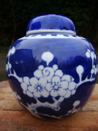 Gemberpotje prunus - blauw wit - VERKOCHT
