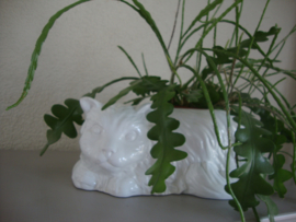Grote bloempot poes kat - VERKOCHT