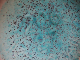 Vaas W-Germany - licht blauw - VERKOCHT