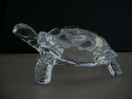 Glazen schildpad - VERKOCHT