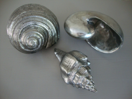 Schelpen zilverkleurig - decoratief - VERKOCHT