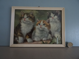 Vintage prentje - kittens - VERKOCHT