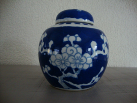 Gemberpotje prunus - blauw wit - VERKOCHT