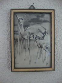 Prent H. van Meegeren - hertjes - VERKOCHT