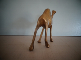 Koperen (of messing) dromedaris - VERKOCHT