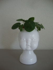 Bloempotje kinderkopje - VERKOCHT
