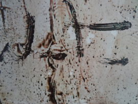 Schilderij - prent op hardboard - VERKOCHT