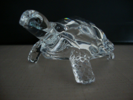 Ga op pad trechter Haalbaarheid Glazen schildpad - VERKOCHT | Verkocht Overig | Nova Vidas