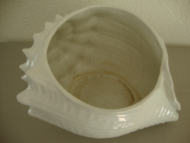 Grote bloempot schelp - Made in Italie - VERKOCHT