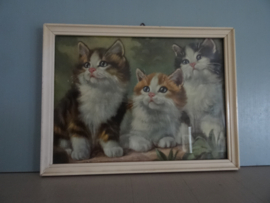 Vintage prentje - kittens - VERKOCHT