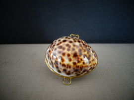 Schelpendoosje -VERKOCHT