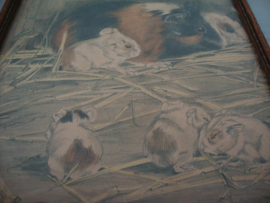 Oude prent Sjoerd Kuperus - VERKOCHT