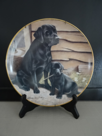 Wandbord - honden - labrador - Nigel Hemming -  VERKOCHT