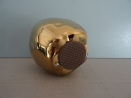 Gouden appel - VERKOCHT