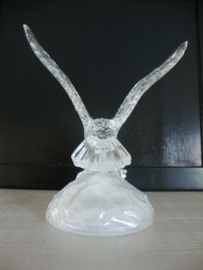 Glazen roofvogel - arend - adelaar - VERKOCHT