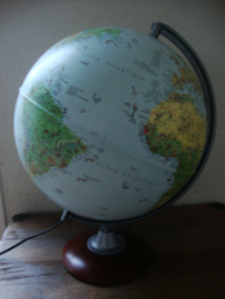 Wereldbol Globe Tecnodidattica - VERKOCHT