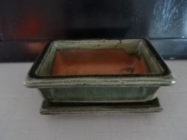 Bloempotje - bonsai - groen - VERKOCHT